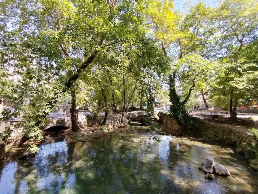 Trees and water in Krya, Livadia