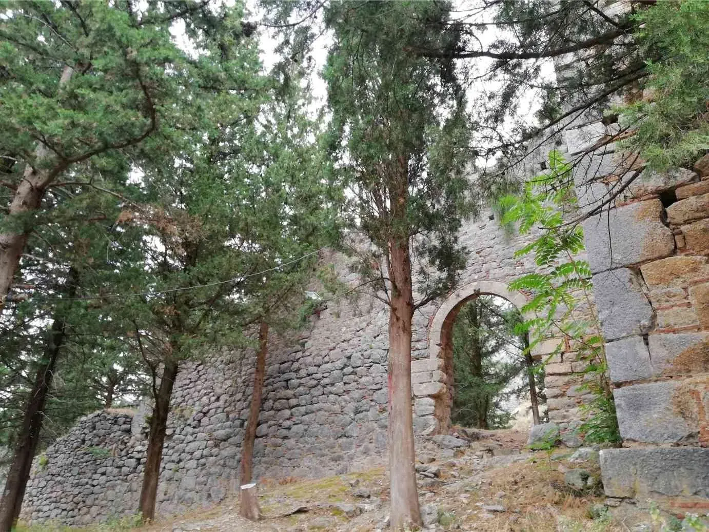 Castle masonry and gateway in Livadia