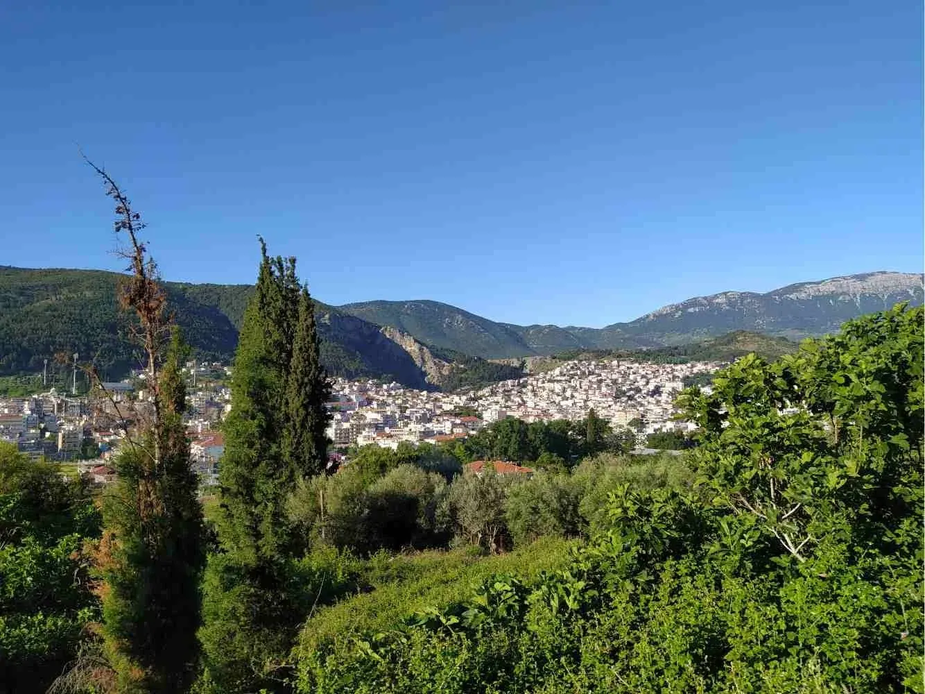 Livadia and the surrounding hills