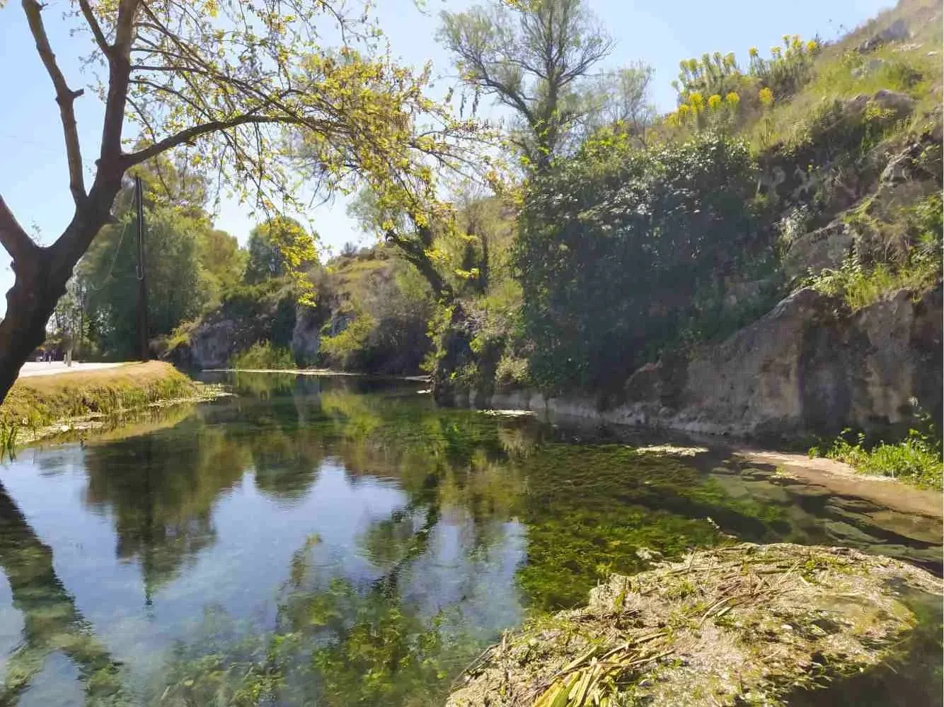The Springs of the Charites at Orchomenos
