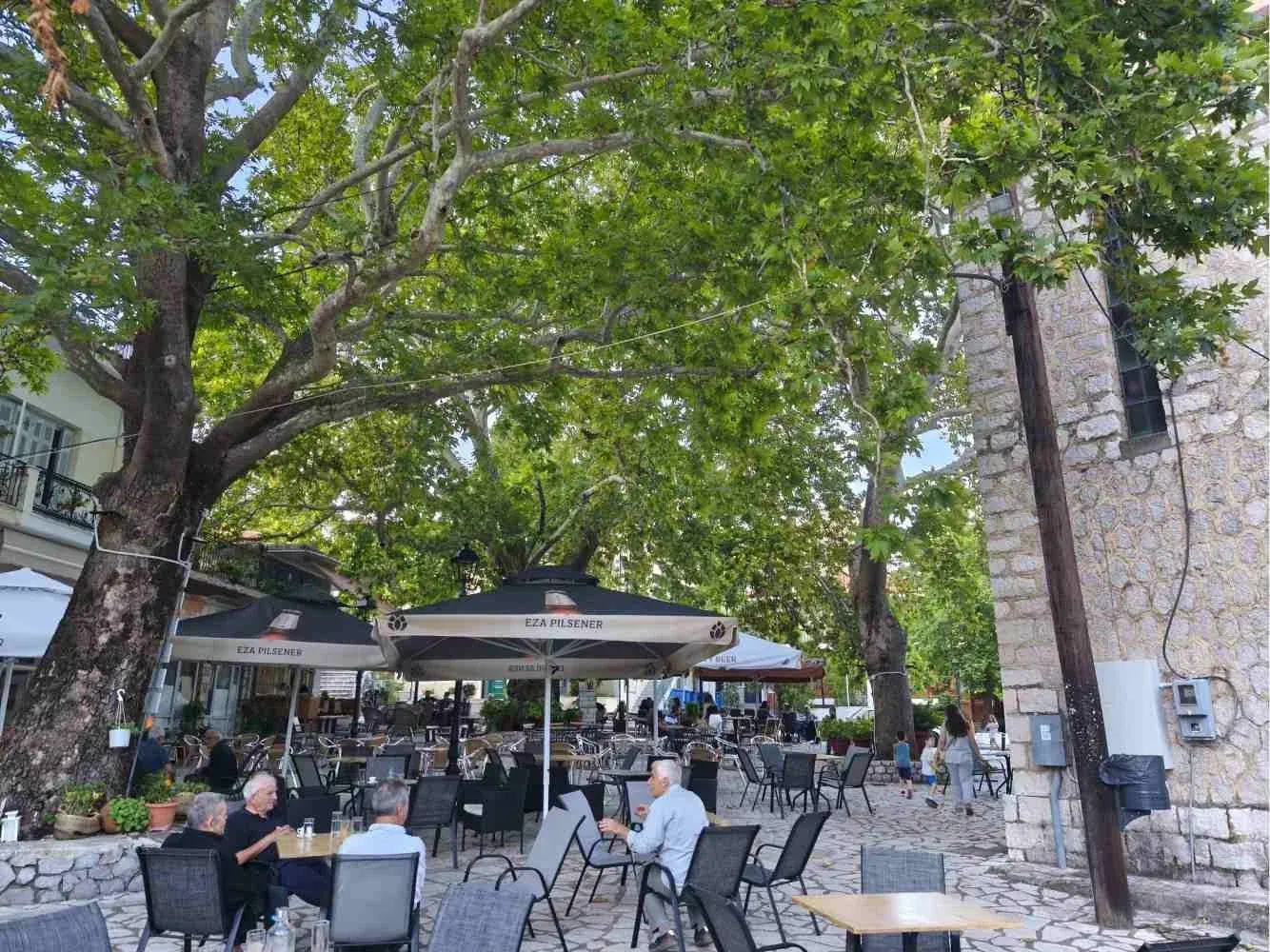 Tables beneath the trees in Davlia