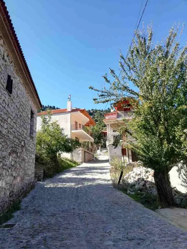 A lane in Helicon village (Zeriki)