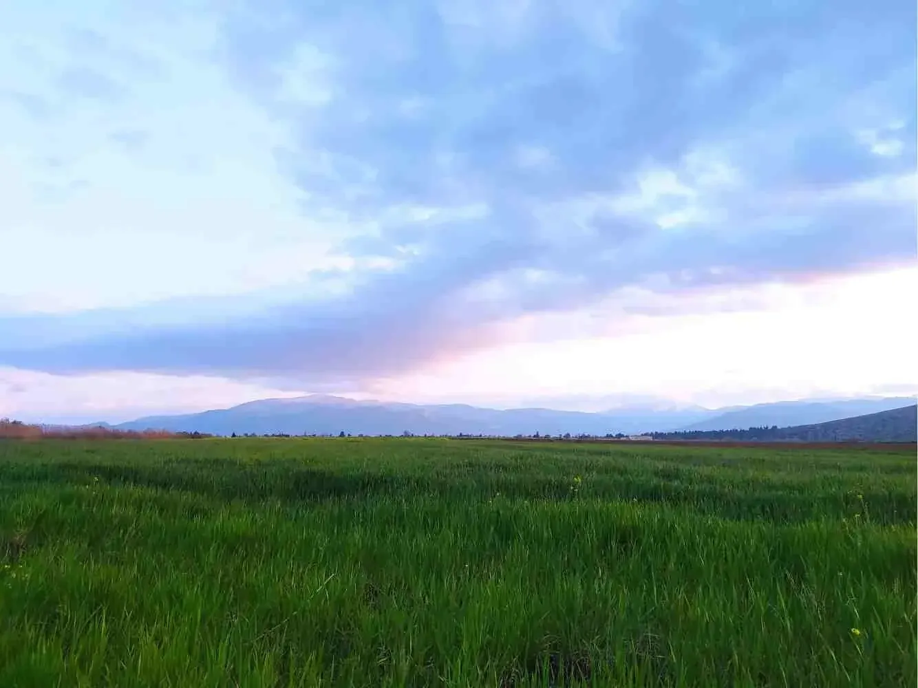 The Kopais fields near Orchomenos